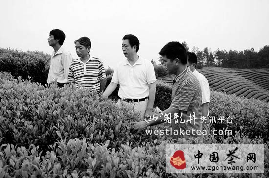 浙江省農(nóng)業(yè)廳首席茶葉專(zhuān)家毛祖法:讓浙產(chǎn)茶葉更香更醇