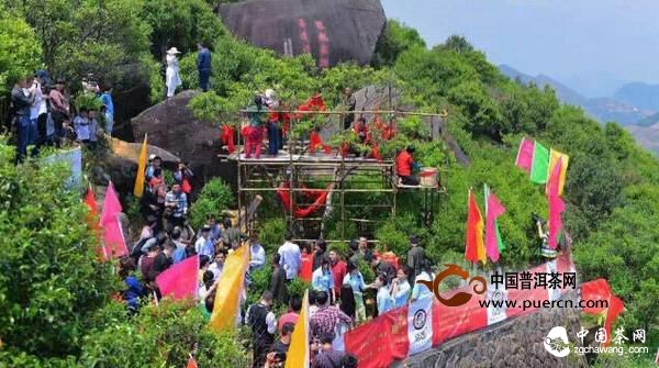 百萬鳳凰單叢的背后說明了什么?