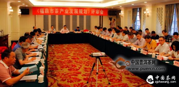 中茶院與福鼎市自開展茶葉戰略合作取得顯著成果