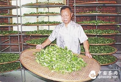 機械制茶：也科技也傳統