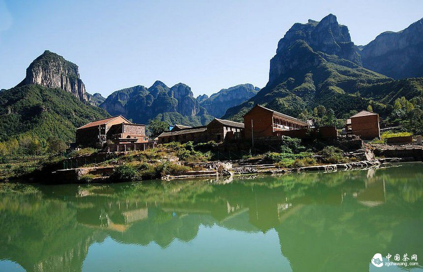 景東上半年實現茶產值13741萬元