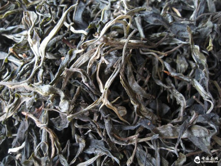 普洱茶投資分析：毛茶彈性定價的必要性