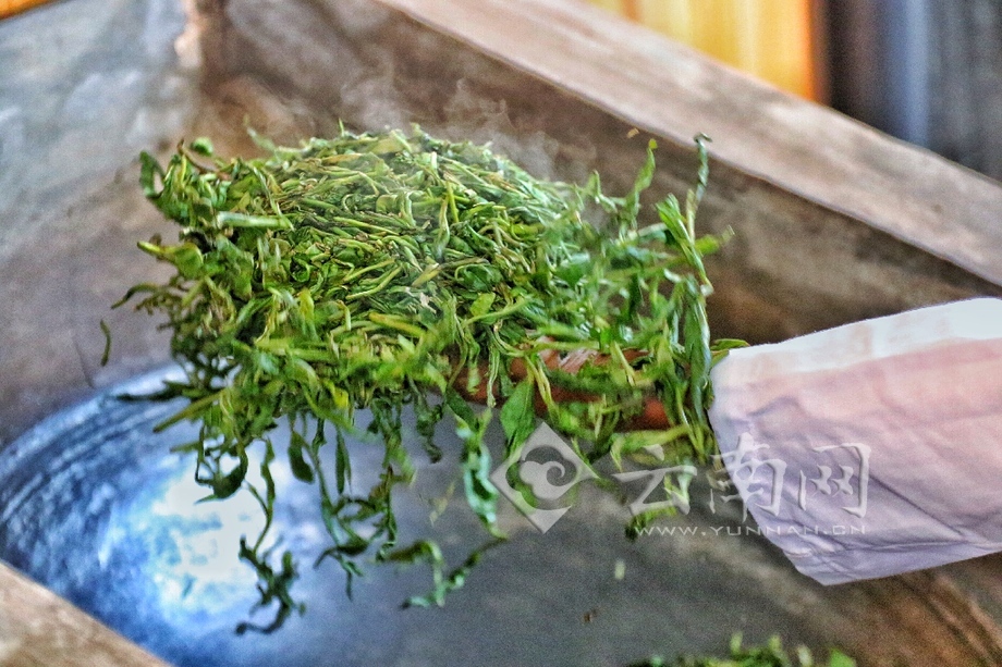 一&ldquo;葉&rdquo;致富 云南梁河茶旅結合助農增收致富