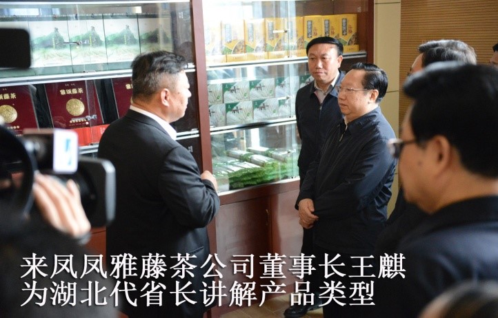 湖北代省長考察金祈藤茶&ldquo;精準扶貧&rdquo;示范工作1