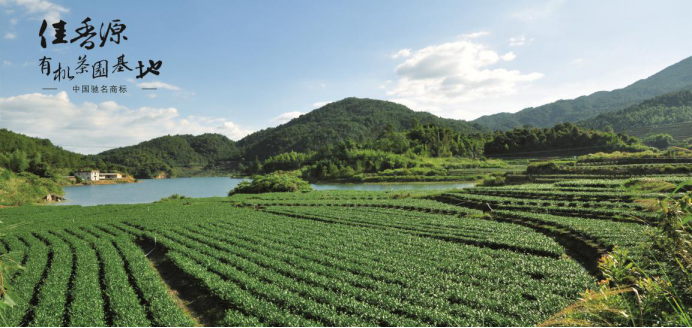 1516161593591988.png 佳香源有機(jī)茶香飄海峽兩岸,茶王爭(zhēng)霸金獎(jiǎng)銀獎(jiǎng)雙雙斬獲791.png